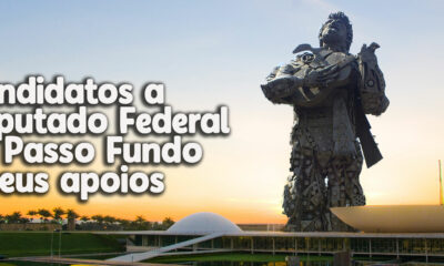 deputado federal por passo fundo